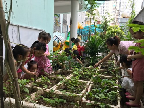 Các bé mẫu giáo nhỡ b4 tích cực tham gia chăm sóc vườn rau của trường